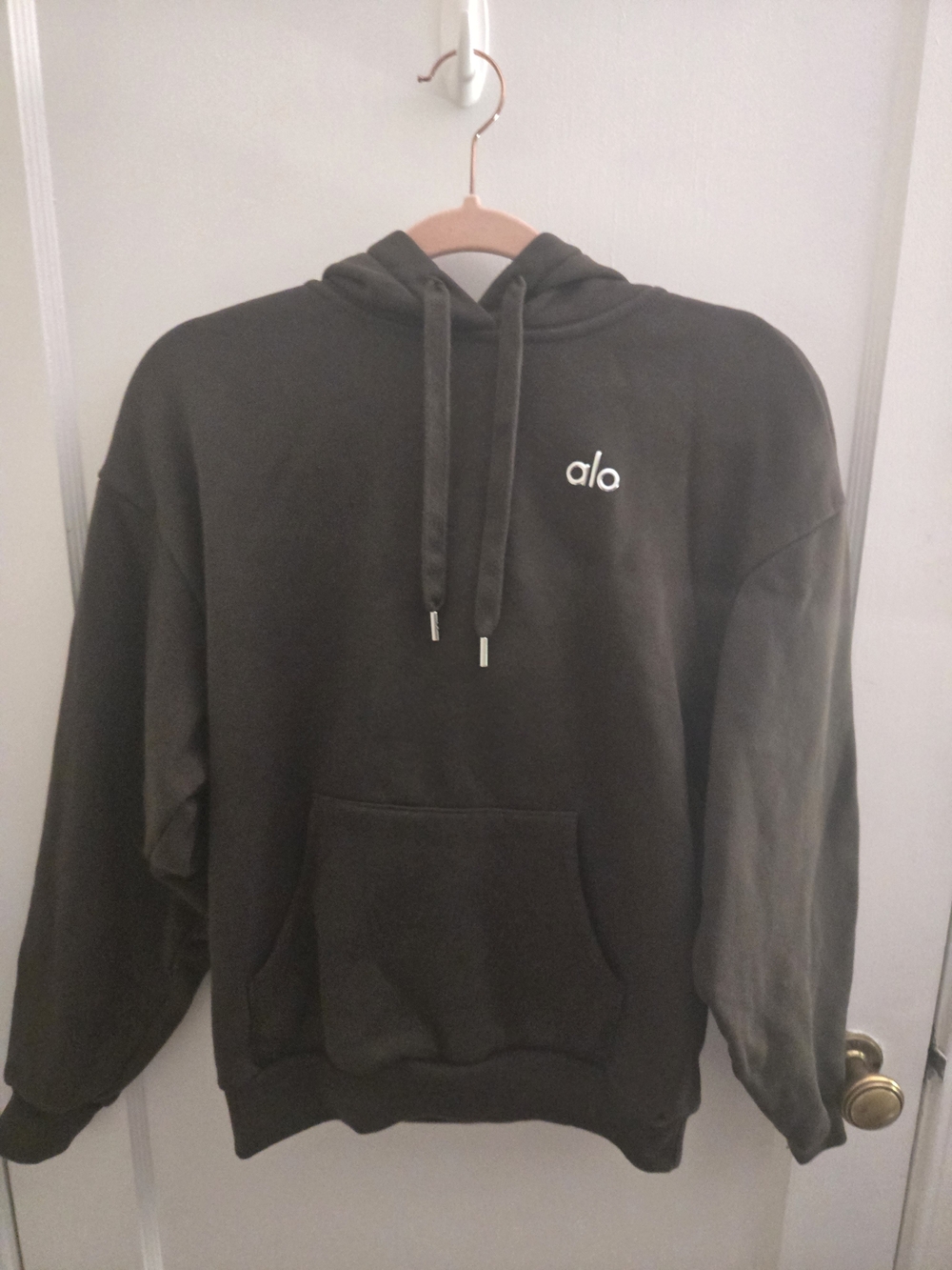 ALO Accolade Hoodie In Espresso